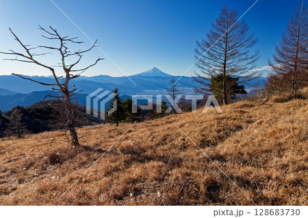 冬の乾徳山・扇平の草原から見る富士山 128683730