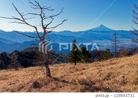 冬の乾徳山・扇平の草原から見る富士山 128683731