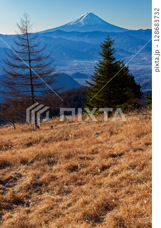 冬の乾徳山・扇平の草原から見る富士山 128683732