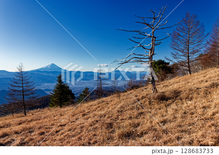 冬の乾徳山・扇平の草原から見る富士山 128683733
