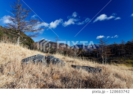 乾徳山・扇平から見る奥秩父主稜線 128683742