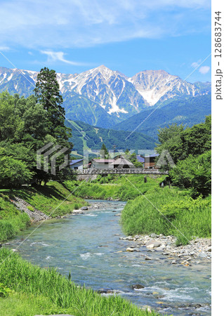 白馬の夏 大出の吊り橋と北アルプス 白馬の夏 大出の吊り橋と北アルプス 128683744