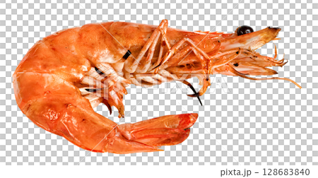 roasted prawn isolated ,grilled shrimp 128683840