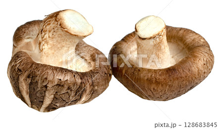 Shiitake Mushrooms isolated Shiitake Mushrooms isolated 128683845