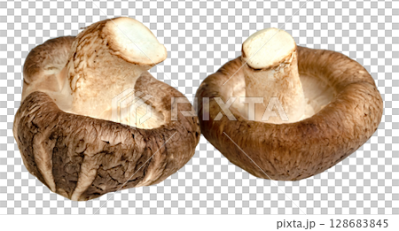 Shiitake Mushrooms isolated Shiitake Mushrooms isolated 128683845