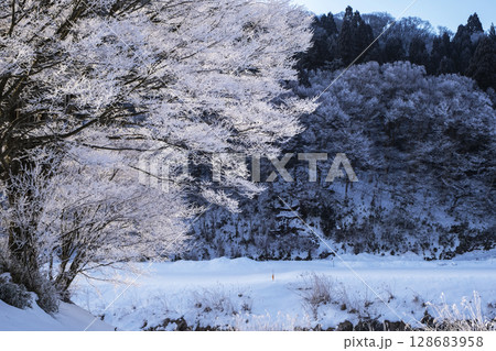 霜(蒜山高原) 霜(蒜山高原) 128683958