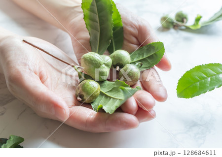 茶の実　お茶の木の種 128684611