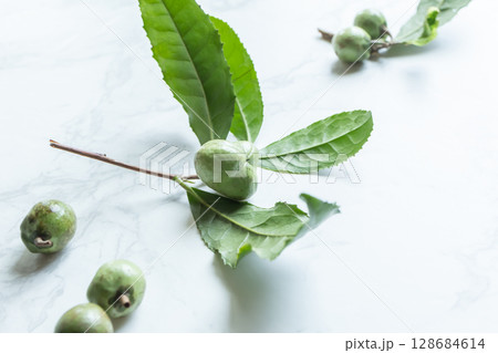 茶の実　お茶の木の種 128684614