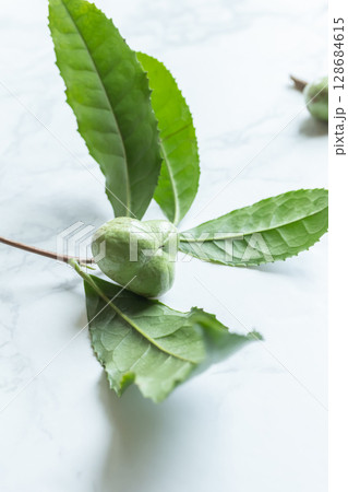 茶の実　お茶の木の種 128684615
