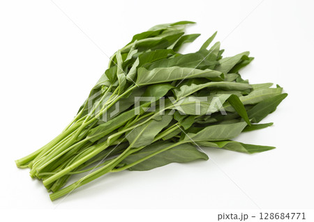 空芯菜　白バック 128684771