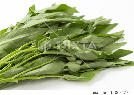 空芯菜　白バック 128684775