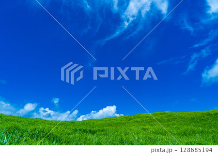 奈良県曽爾村 曽爾高原の緑のススキの絨毯と真夏の青空 奈良県曽爾村 曽爾高原の緑のススキの絨毯と真夏の青空 128685194