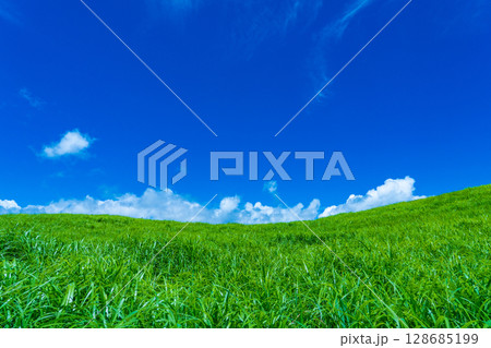 奈良県曽爾村　曽爾高原の緑のススキの絨毯と真夏の青空 128685199