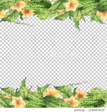 Cucumbers seamless border frame with yellow flowers, leaves, buds and curling plant tendril. Watercolor realistic illustration hand drawn Botanical vegetable harvest pattern Isolated from background 128685629