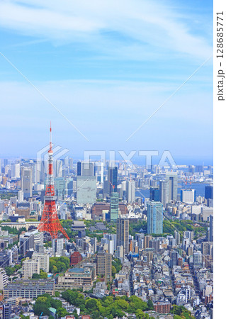 東京都港区、東京タワーと東京の町並みの風景 東京都港区、東京タワーと東京の町並みの風景 128685771
