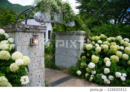 富士大石ハナテラスのガーデン 128685812