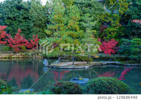 秋の京都　法金剛院庭園　池と紅葉 128686498