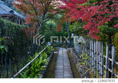 紅葉に包まれた大法院の参道 紅葉に包まれた大法院の参道 128687635