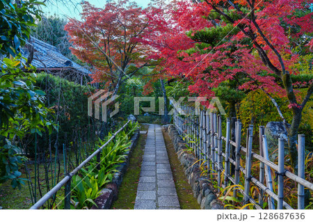 紅葉に包まれた大法院の参道 紅葉に包まれた大法院の参道 128687636