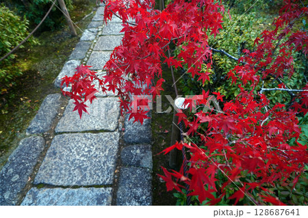 紅葉に包まれた大法院の参道 128687641