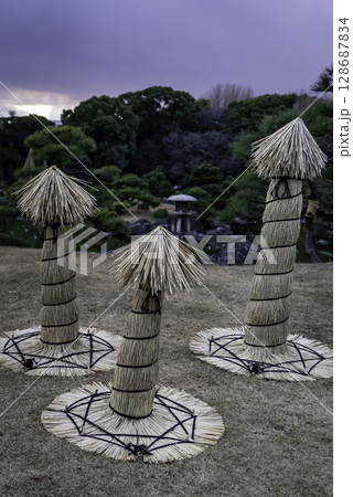 冬囲い　こも巻き 128687834