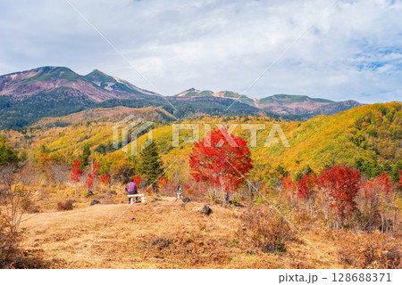 【乗鞍高原の秋】一の瀬園地の『大カエデ』と乗鞍岳 【乗鞍高原の秋】一の瀬園地の『大カエデ』と乗鞍岳 128688371