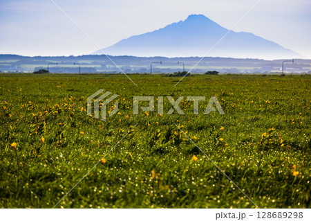 【北海道_天塩郡_サロベツ原野】夏のサロベツ原生花園より利尻富士を望む 【北海道_天塩郡_サロベツ原野】夏のサロベツ原生花園より利尻富士を望む 128689298