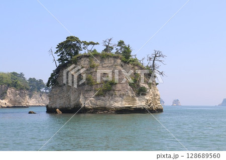 松島湾口に浮かぶ箱庭のような浦戸諸島 128689560