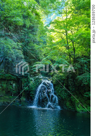 緑の中の小さな滝 128689700