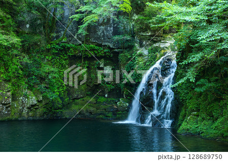 緑の中にある滝 128689750