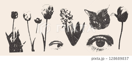 Photocopy tulip and primula flowers collage set. Cutout grunge photocopies eyes and cat elements for mixed media design. Pieces of retro magazine halftone wildflowers. Vector illustration isolated Photocopy tulip and primula flowers collage set. Cutout grunge photocopies eyes and cat elements for mixed media design. Pieces of retro magazine halftone wildflowers. Vector illustration isolated 128689837