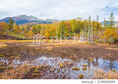 【秋の乗鞍高原】一の瀬園地『どじょう池』周辺の紅葉 128689884