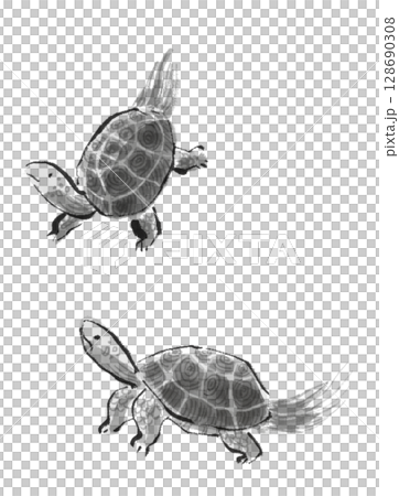 烏龜水墨畫 烏龜水墨畫 128690308