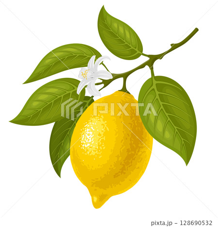 Lemon On The Branch 128690532