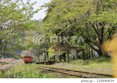 新緑の中を走るローカル列車 128690634