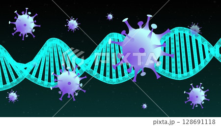 Floating turquoise DNA helix colliding with purple virus particles in abstract digital background 128691118