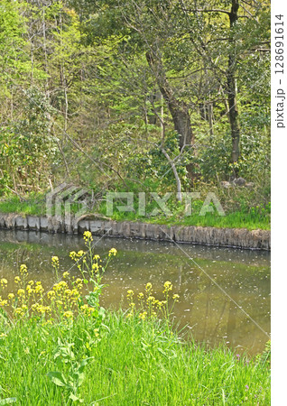 見沼田圃・見沼代用水東縁　緑のトラスト保全第1号地 128691614