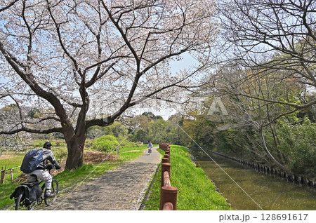 見沼田圃・見沼代用水東縁　緑のトラスト保全第1号地 128691617