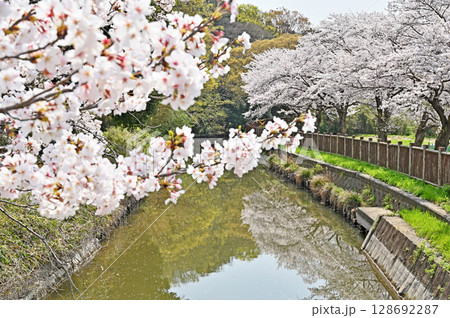 見沼田圃・見沼代用水東縁 緑のトラスト保全第1号地 見沼田圃・見沼代用水東縁 緑のトラスト保全第1号地 128692287