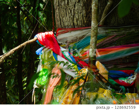 Colorful cloth wrapped around a big tree in the forest. Seven-colored cloth tied to a tree for Thai beliefs. Thai religious concepts. Colorful cloth wrapped around a big tree in the forest. Seven-colored cloth tied to a tree for Thai beliefs. Thai religious concepts. 128692559