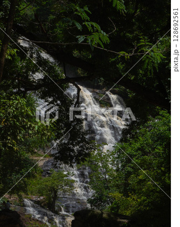 The nature of the waterfall in the forest that flows strongly during the rainy season. Strong current in the river, waters turned muddy after heavy rains in autumn. The nature of the waterfall in the forest that flows strongly during the rainy season. Strong current in the river, waters turned muddy after heavy rains in autumn. 128692561