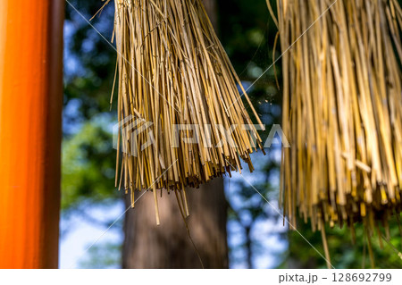 瀧神社の鳥居と注連縄と 瀧神社の鳥居と注連縄と 128692799