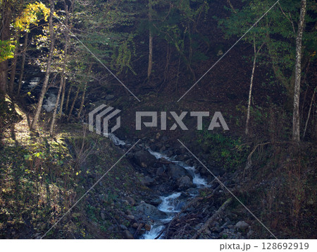 秋の山中から流れる名も無き渓谷 秋の山中から流れる名も無き渓谷 128692919