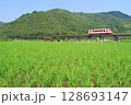 田園風景の中を走る錦川鉄道 128693147