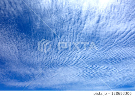 青空に広がるうろこ雲 青空に広がるうろこ雲 128693306