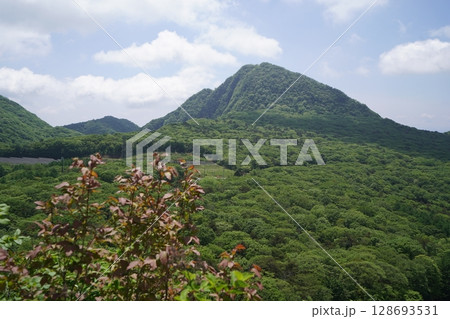 群馬県榛名高原　ヤセオネ峠から登る臥牛山（ねうしやま）から相馬山方面　2025年5月28日 128693531