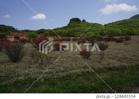 群馬県榛名高原 渋川・松井田線道路から見える榛名高原のスルス岩とヤマツツジ 2025年5月28日 群馬県榛名高原 渋川・松井田線道路から見える榛名高原のスルス岩とヤマツツジ 2025年5月28日 128693554