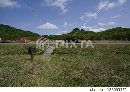 群馬県榛名高原 渋川・松井田線道路越しに見えるスルス岩とヤマツツジ 2025年5月28日 群馬県榛名高原 渋川・松井田線道路越しに見えるスルス岩とヤマツツジ 2025年5月28日 128693573