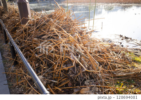 上野公園の風景 128694081