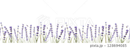 Watercolor seamless pattern with branches of lavender and lavender seeds on a white background Watercolor seamless pattern with branches of lavender and lavender seeds on a white background 128694085
